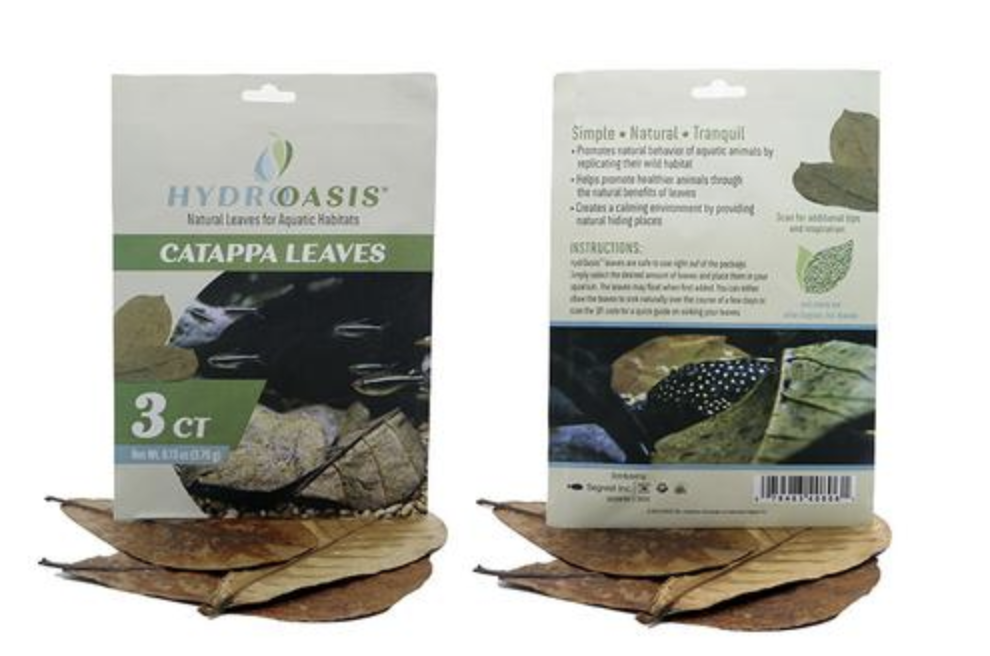 HydrOasis™ Catappa Leaves 3 Ct