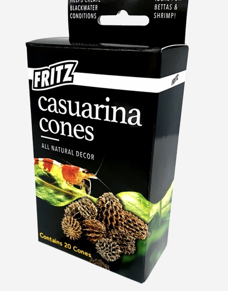 Fritz's Casuarina