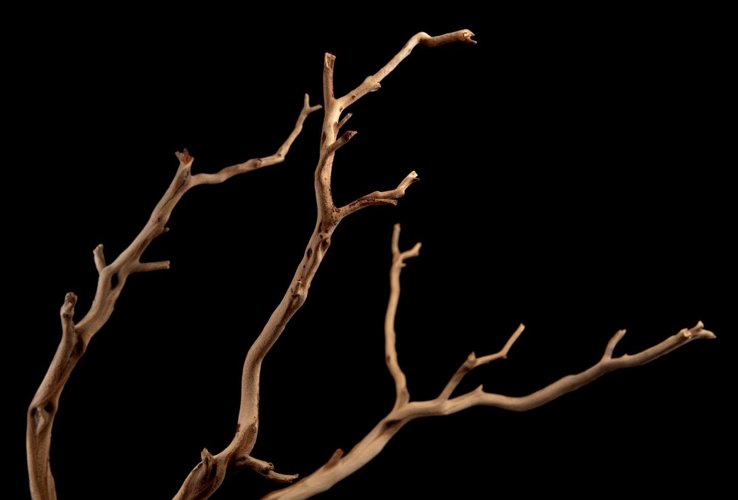 Manzanita Wood