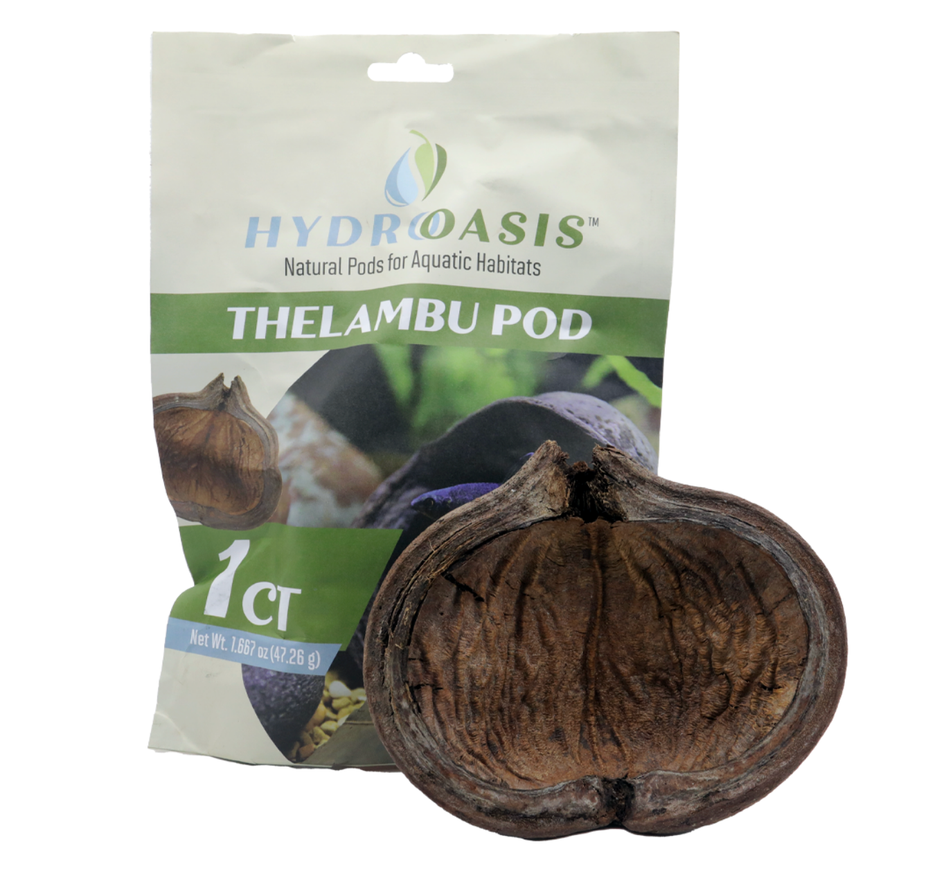 HydrOasis™ Thelambu Pod 1 Ct