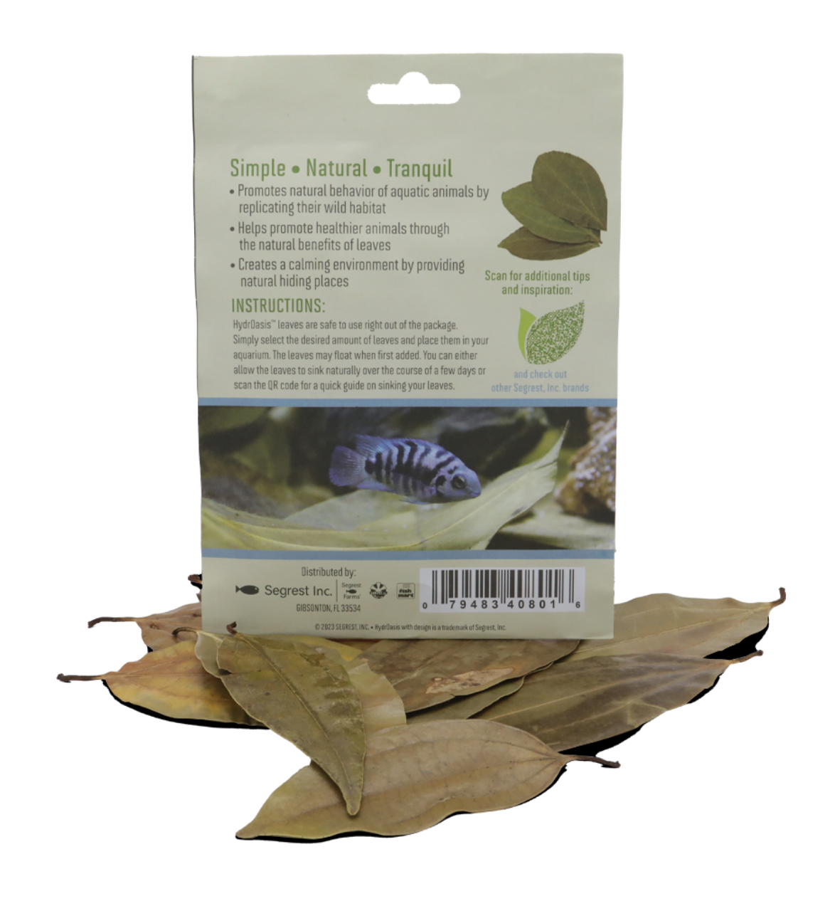 HydrOasis™ Cinnamon Leaves 10 Ct