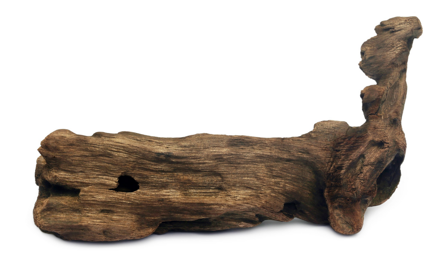 Congo Wood