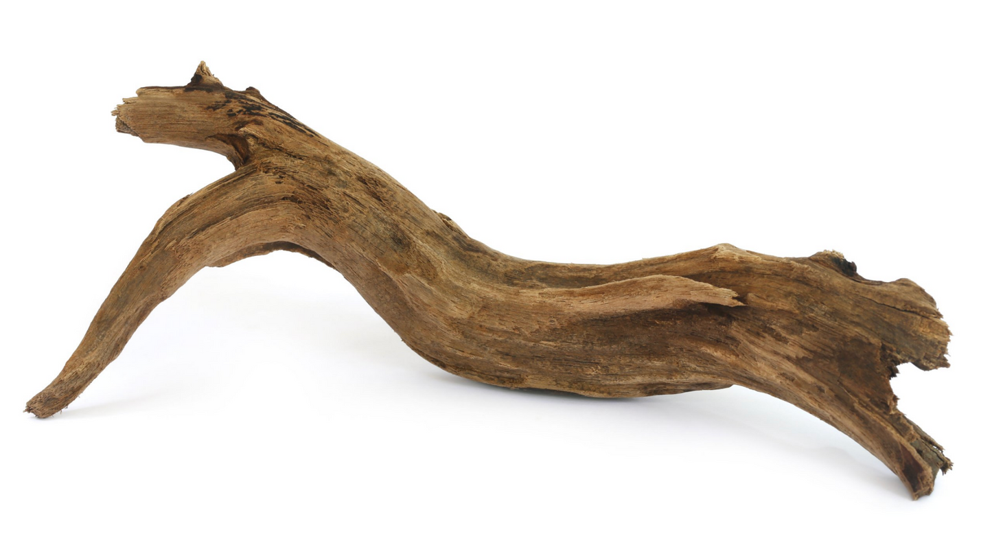 Congo Wood