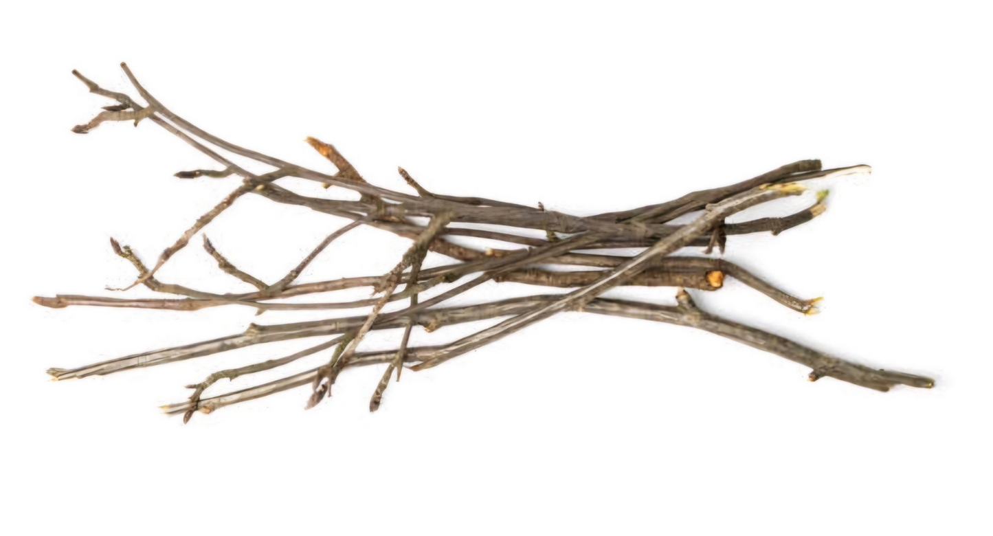 Cherry Twig Bundle-10 Pack