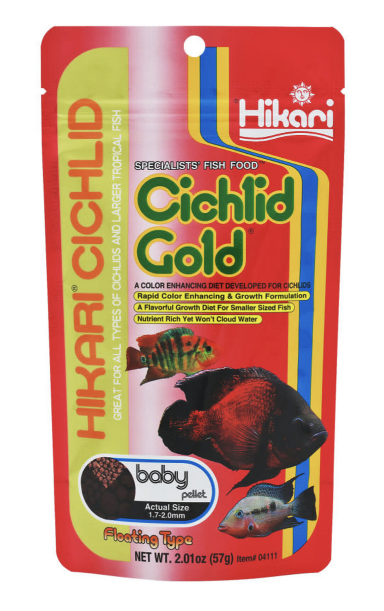 Hikari Cichlid Gold- Baby