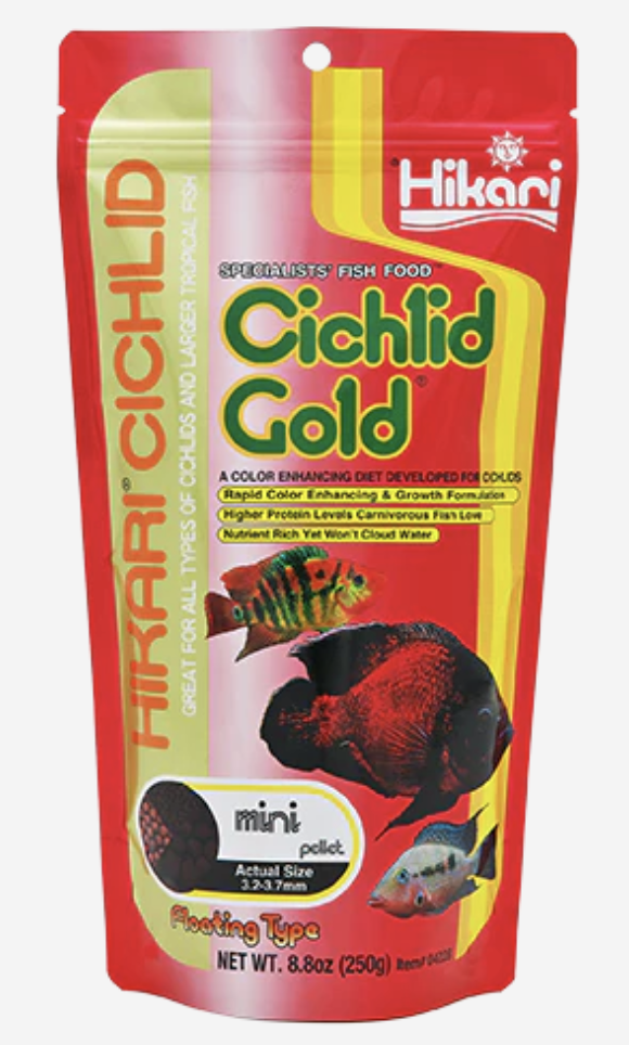 Hikari Cichlid Gold- Mini