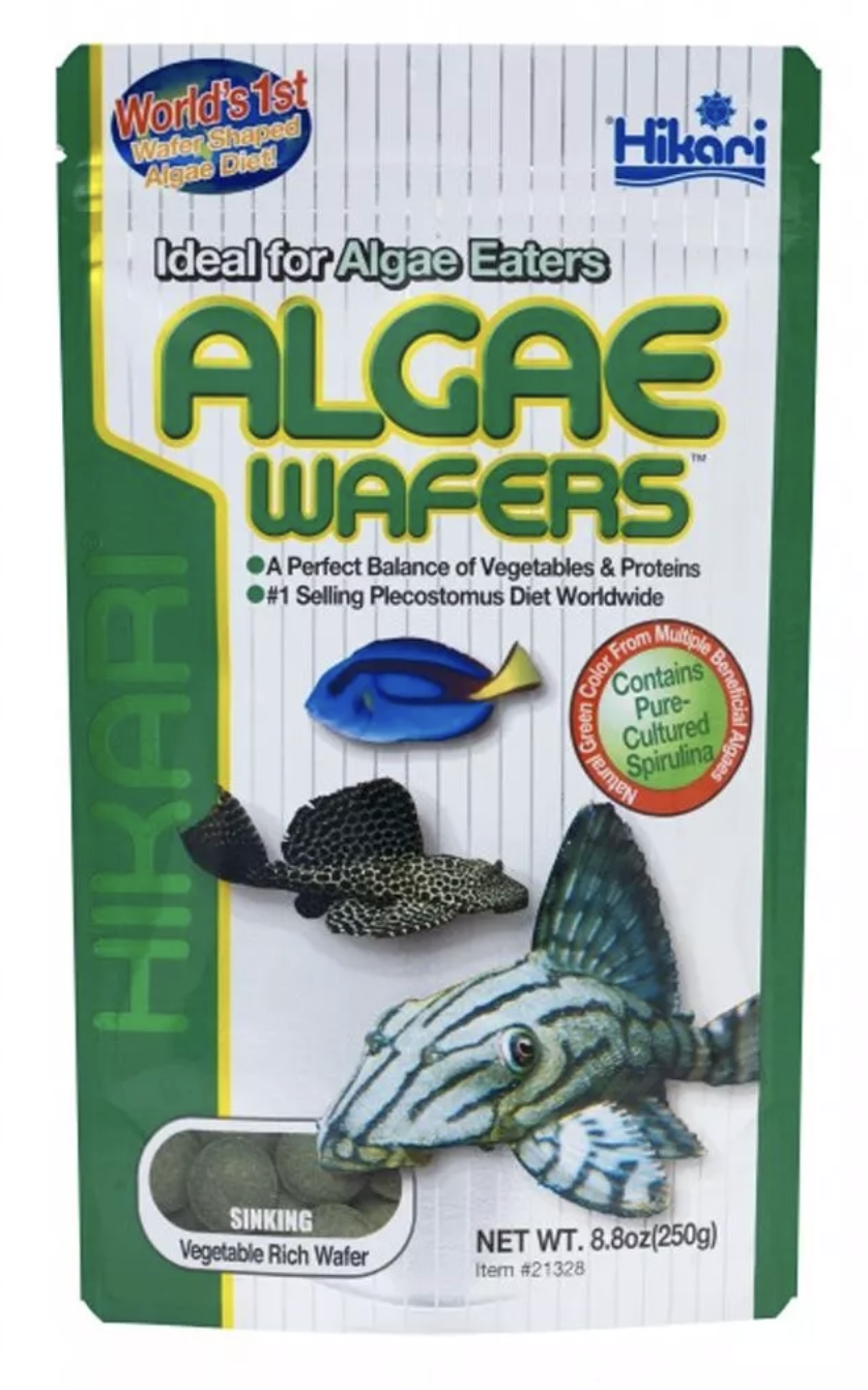 HIkari Algae Wafers
