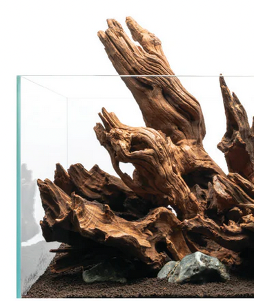 UNS Amazon Wood