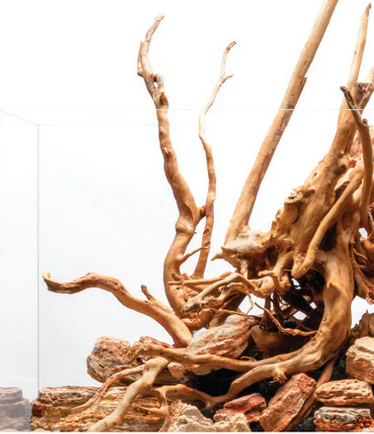 UNS Spider Wood