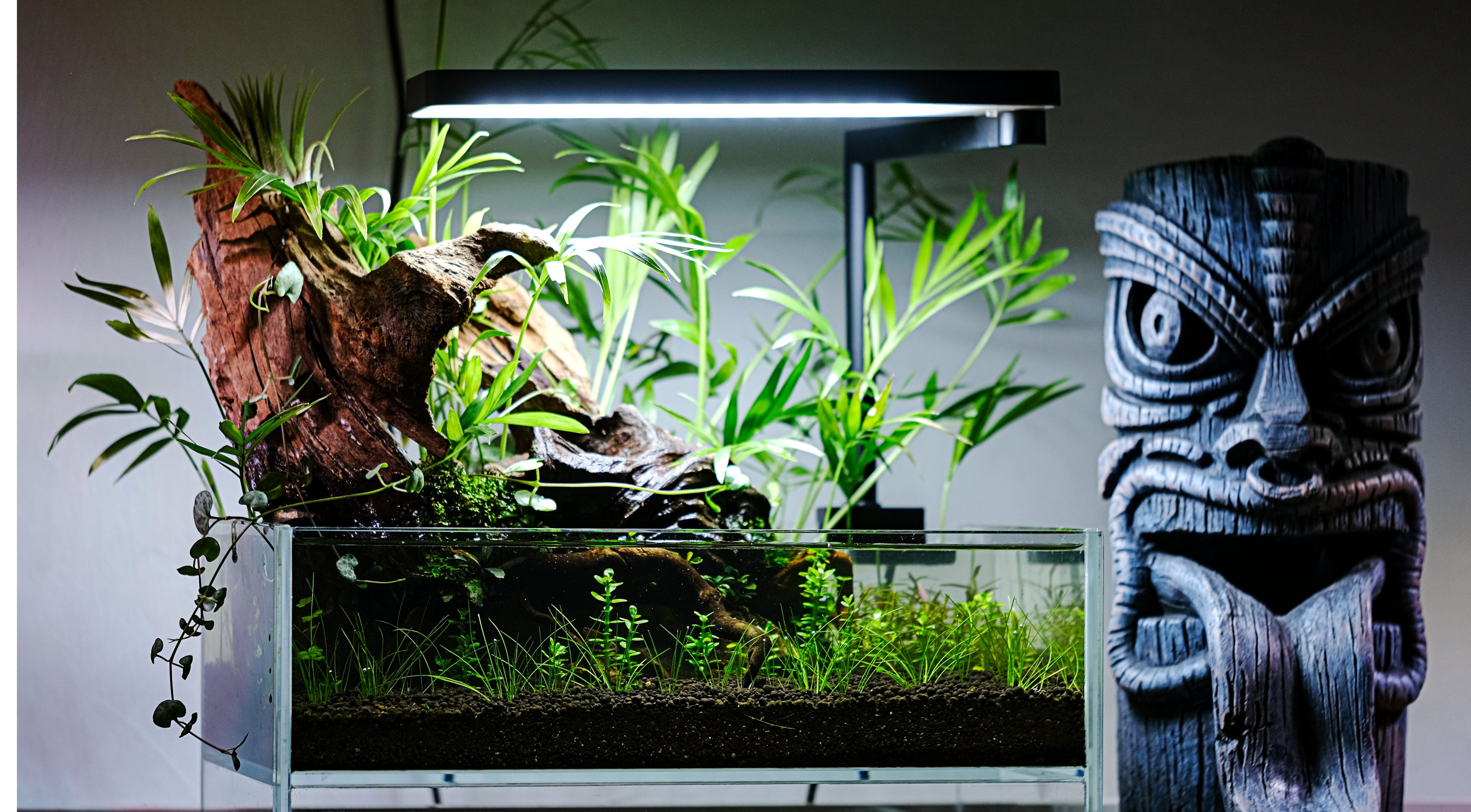 Above-Water & Riparian Plants