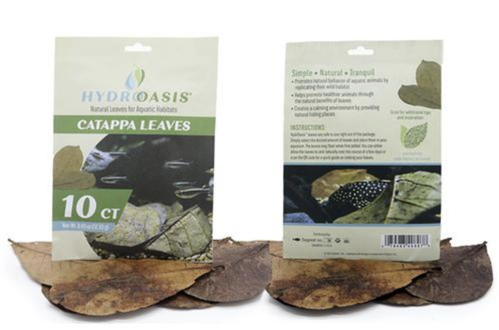 HydrOasis™ Catappa Leaves 10 Ct