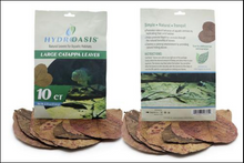 HydrOasis™ Catappa Leaves Large 10 Ct