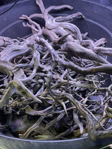 Grey Spider Root