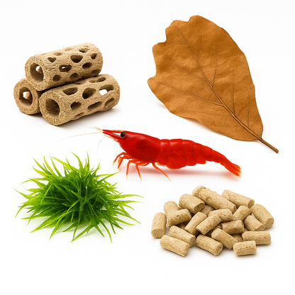 Neocaridina Shrimp Starter Pack