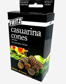 Fritz's Casuarina