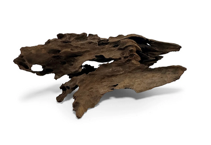 Malaysian Mangrove Wood