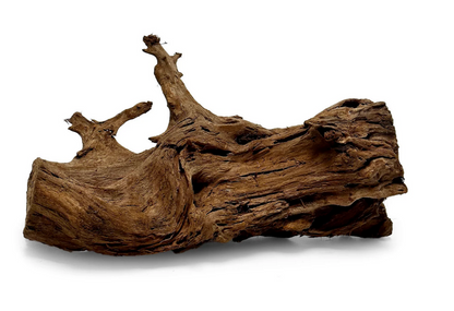Malaysian Mangrove Wood