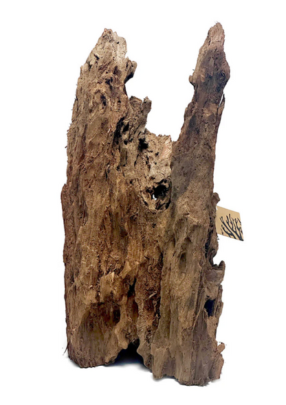 Malaysian Mangrove Wood