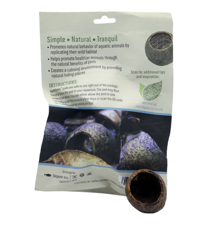 HydrOasis™ Wood Apple Pod 1 Ct