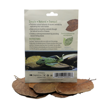 HydrOasisâ„¢ Jack Leaves 10 Ct