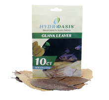 HydrOasis™ Guava Leaves 10 Ct
