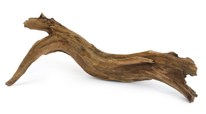 Congo Wood