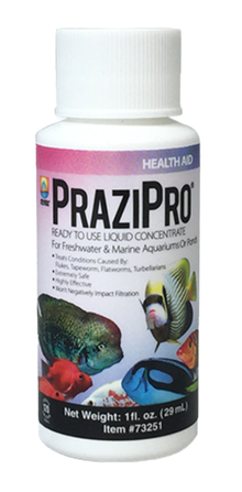 PraziPro