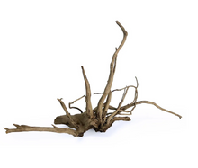 SR Aquaristik Black Spiderwood