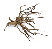 SR Aquaristik Pine Spiderwood