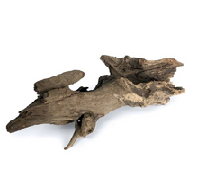 SR Aquaristik Weathered Driftwood
