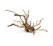 SR Aquaristik Spiderwood XXL
