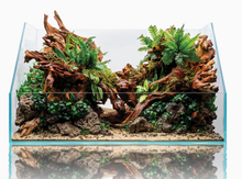 UNS Paludarium - 60E