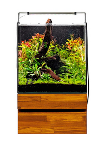 UNS 40A Dual All-In-One Rimless Aquarium