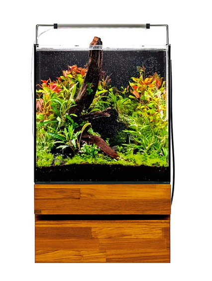 UNS 40A Dual All-In-One Rimless Aquarium