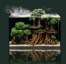 UNS 60A Fresh & Marine Dual All-In-One Rimless Aquarium