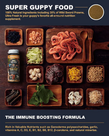 Ultra Fresh Royal Guppy Mignon Pellet - 120ML / 53g