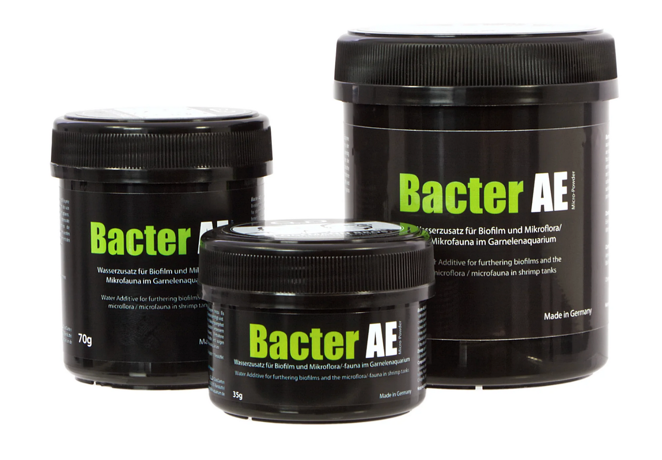 GlasGarten Bacter AE