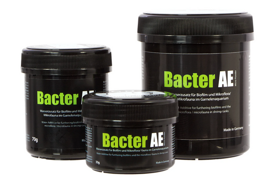 GlasGarten Bacter AE