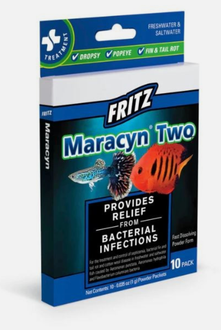 Fritz Maracyn 2