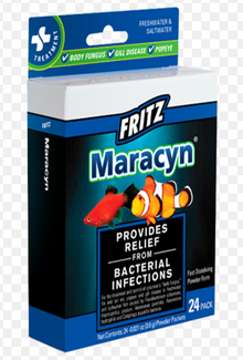 Fritz Maracyn