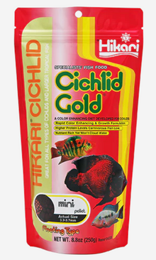 Hikari Cichlid Gold- Mini