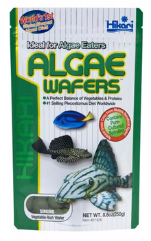 HIkari Algae Wafers