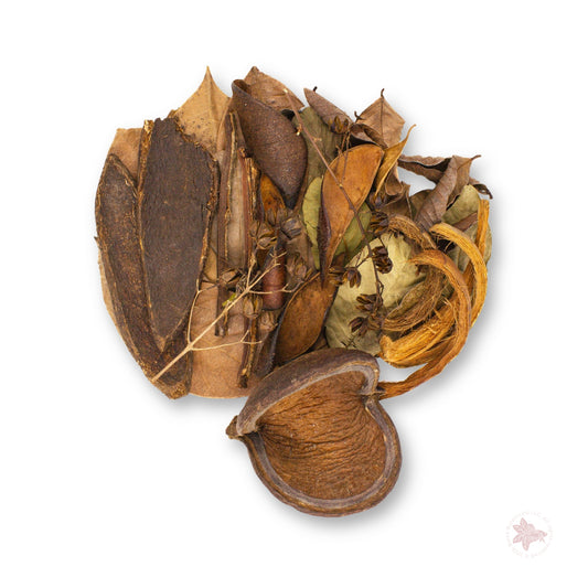 Betta Botanicals Variety Pack