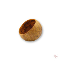Betta Botanicals–Bael Tree Pod