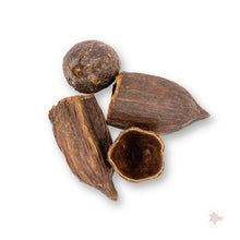 Betta Botanicals–Cacao Pods (1pk)