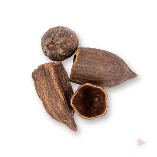 Betta Botanicals–Cacao Pods (1pk)