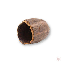 Betta Botanicals–Cacao Pods (1pk)