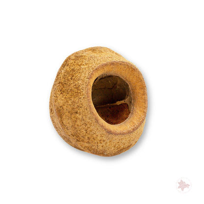 Betta Botanicals–Sapucaia King Pod