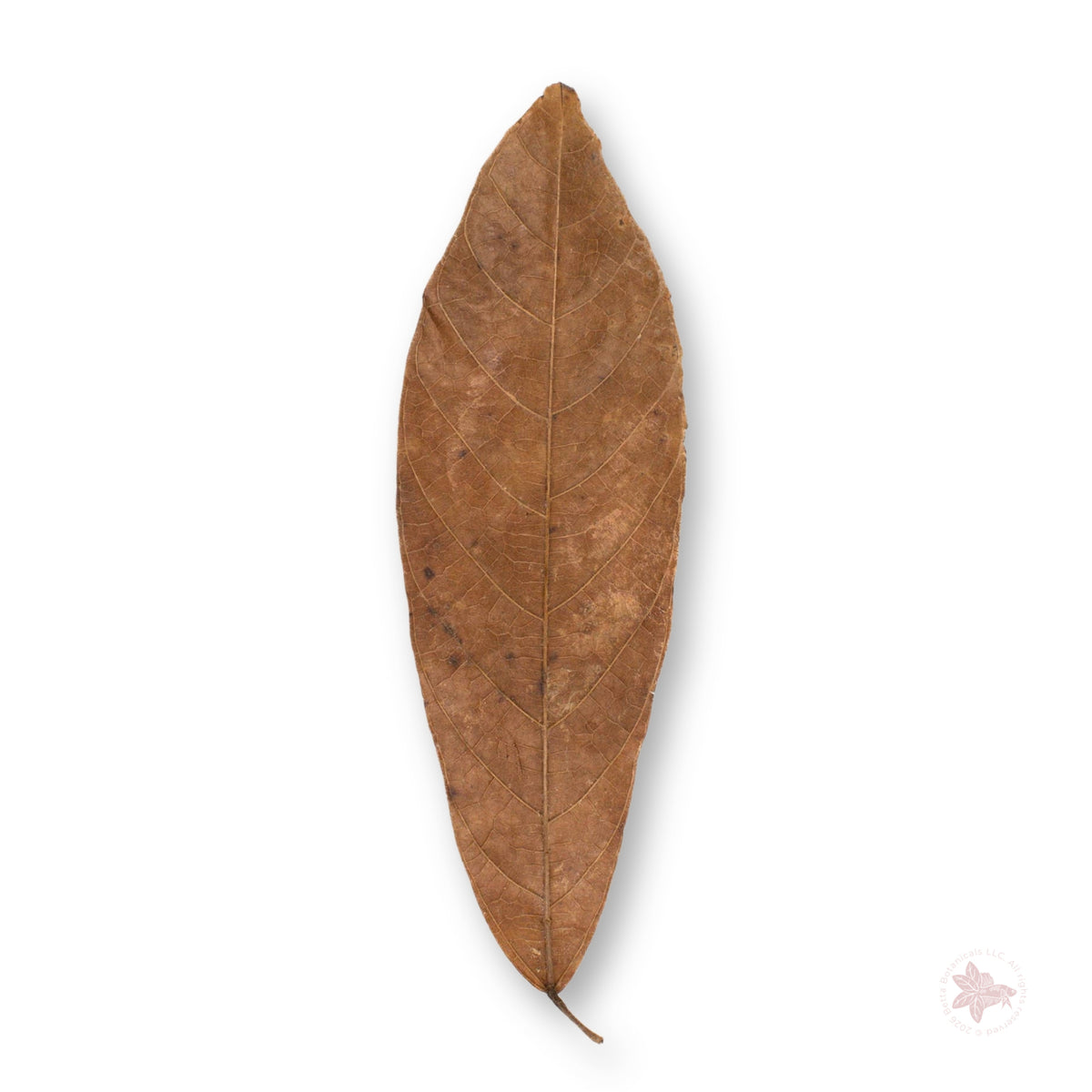 Betta Botanicals – Cacao Leaves (Colombia)