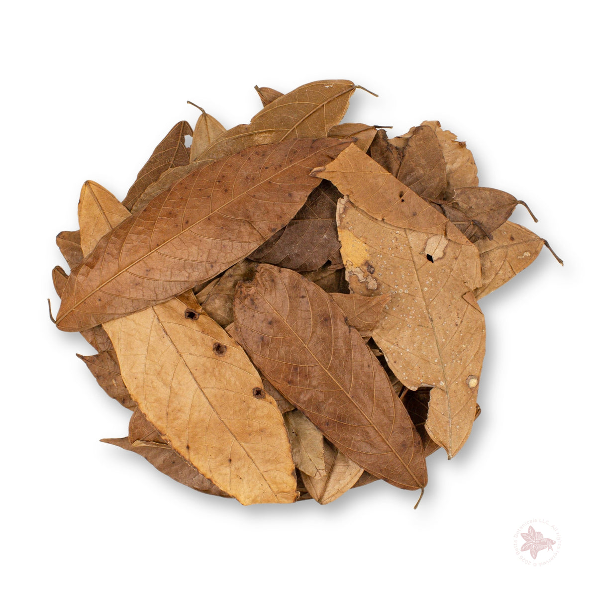 Betta Botanicals – Cacao Leaves (Colombia)